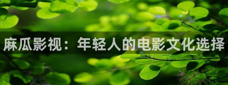 飞极速影院在线观看：麻瓜影视：年轻人的电影文化选择