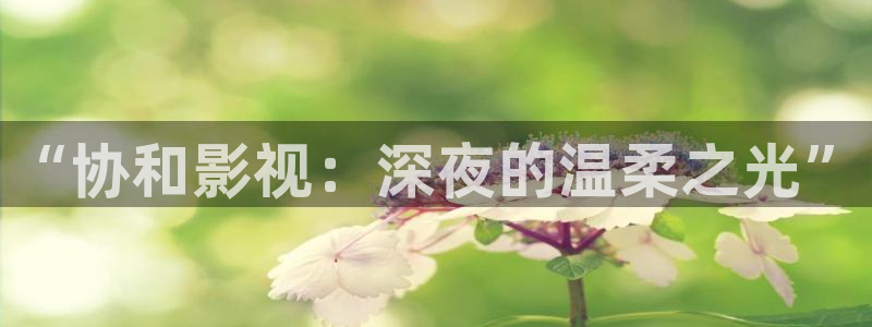 极速影院网页版在线播放：“协和影视：深夜的温柔之光”