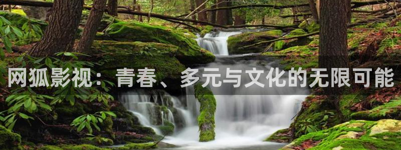 极速营救电影：网狐影视：青春、多元与文化的无限可能