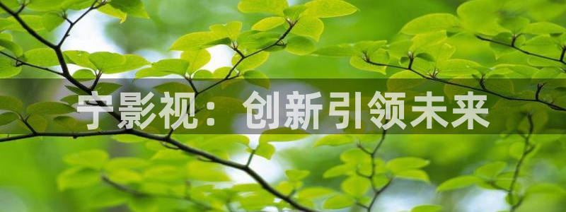 极速影院黄片：宁影视：创新引领未来
