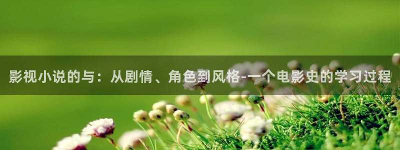 极速影院在线观看免费高清完整版：影视小说的与：从剧情、角色到风格-一个电影史的学习过程