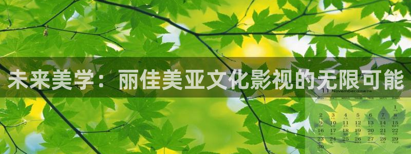 极速恋人泰剧在线观看免费完整版高清电视剧：未来美学：丽佳美亚文化影视的无限可能