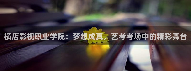 极速影院在线观看完整版：横店影视职业学院：梦想成真，艺考考场中的精彩舞台