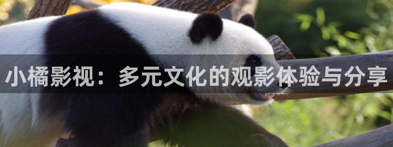 极速影院：小橘影视：多元文化的观影体验与分享