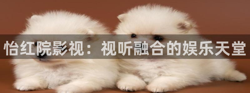 极速影院在线看电影：怡红院影视：视听融合的娱乐天堂